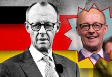 friedrich merz net worth