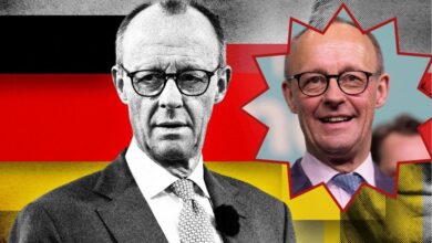 friedrich merz net worth