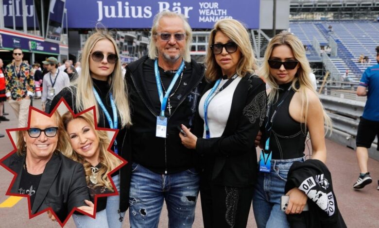 Robert Geiss Vermögen