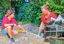 nicole johag lebensgefährte