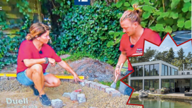 nicole johag lebensgefährte